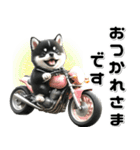敬語♡バイク好き 黒柴（個別スタンプ：2）