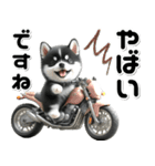 敬語♡バイク好き 黒柴（個別スタンプ：4）