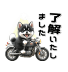 敬語♡バイク好き 黒柴（個別スタンプ：5）