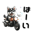 敬語♡バイク好き 黒柴（個別スタンプ：6）