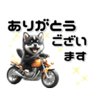 敬語♡バイク好き 黒柴（個別スタンプ：9）