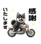 敬語♡バイク好き 黒柴（個別スタンプ：10）