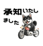 敬語♡バイク好き 黒柴（個別スタンプ：11）