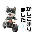 敬語♡バイク好き 黒柴（個別スタンプ：12）