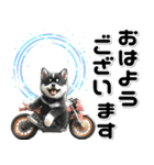 敬語♡バイク好き 黒柴（個別スタンプ：14）