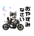 敬語♡バイク好き 黒柴（個別スタンプ：16）