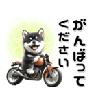 敬語♡バイク好き 黒柴（個別スタンプ：17）