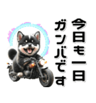 敬語♡バイク好き 黒柴（個別スタンプ：18）