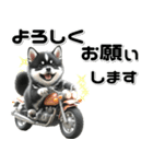 敬語♡バイク好き 黒柴（個別スタンプ：19）