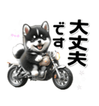 敬語♡バイク好き 黒柴（個別スタンプ：20）