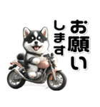 敬語♡バイク好き 黒柴（個別スタンプ：21）