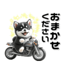 敬語♡バイク好き 黒柴（個別スタンプ：22）