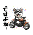 敬語♡バイク好き 黒柴（個別スタンプ：23）