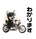 敬語♡バイク好き 黒柴（個別スタンプ：24）