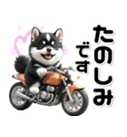 敬語♡バイク好き 黒柴（個別スタンプ：27）