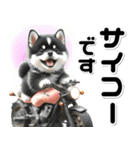 敬語♡バイク好き 黒柴（個別スタンプ：28）