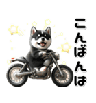 敬語♡バイク好き 黒柴（個別スタンプ：30）