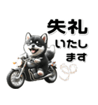 敬語♡バイク好き 黒柴（個別スタンプ：32）