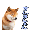 佐賀弁☆柴犬（個別スタンプ：7）
