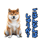 佐賀弁☆柴犬（個別スタンプ：10）