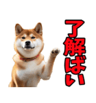 佐賀弁☆柴犬（個別スタンプ：13）