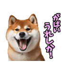 佐賀弁☆柴犬（個別スタンプ：18）