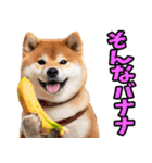 佐賀弁☆柴犬（個別スタンプ：36）
