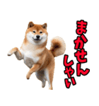 佐賀弁☆柴犬（個別スタンプ：38）