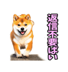 佐賀弁☆柴犬（個別スタンプ：40）