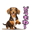 宮城仙台弁☆わんこ（個別スタンプ：10）