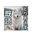 可愛い犬の既読マーク（個別スタンプ：1）