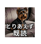 可愛い犬の既読マーク（個別スタンプ：4）