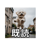 可愛い犬の既読マーク（個別スタンプ：5）