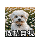 可愛い犬の既読マーク（個別スタンプ：9）