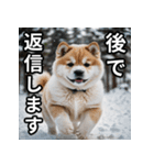 可愛い犬の既読マーク（個別スタンプ：13）