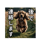 可愛い犬の既読マーク（個別スタンプ：16）