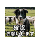 可愛い犬の既読マーク（個別スタンプ：19）