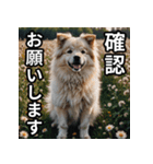 可愛い犬の既読マーク（個別スタンプ：20）