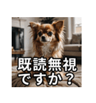 可愛い犬の既読マーク（個別スタンプ：25）