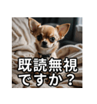可愛い犬の既読マーク（個別スタンプ：26）