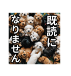 可愛い犬の既読マーク（個別スタンプ：31）