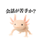 【煽る】爆笑★ウーパールーパーが煽る（個別スタンプ：5）