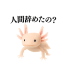 【煽る】爆笑★ウーパールーパーが煽る（個別スタンプ：6）