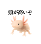 【煽る】爆笑★ウーパールーパーが煽る（個別スタンプ：7）
