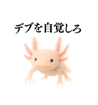 【煽る】爆笑★ウーパールーパーが煽る（個別スタンプ：10）
