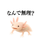 【煽る】爆笑★ウーパールーパーが煽る（個別スタンプ：11）