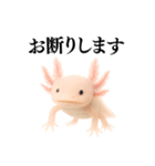 【煽る】爆笑★ウーパールーパーが煽る（個別スタンプ：12）