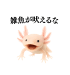 【煽る】爆笑★ウーパールーパーが煽る（個別スタンプ：13）