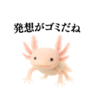【煽る】爆笑★ウーパールーパーが煽る（個別スタンプ：16）