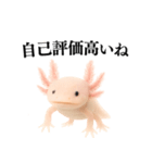 【煽る】爆笑★ウーパールーパーが煽る（個別スタンプ：18）